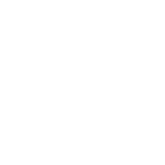 Suscription turtle plan